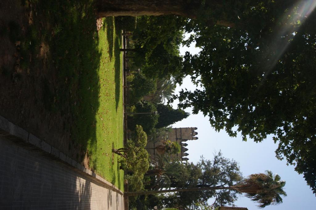 Hostal Alcazar Κόρδοβα Εξωτερικό φωτογραφία